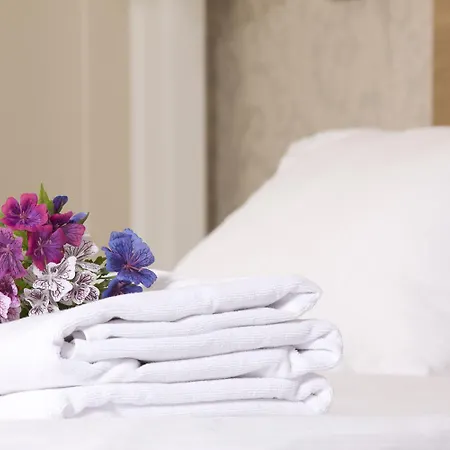 áurea Casa Palacio Sagasta By Eurostars Company Hotel 4*