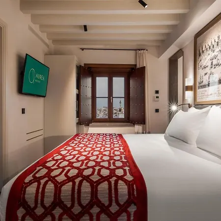áurea Casa Palacio Sagasta By Eurostars Company 4*